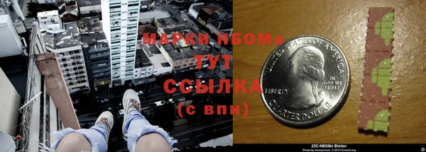 хмурый Вяземский